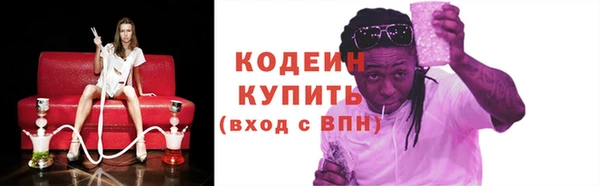 прущие грибы Новый Уренгой