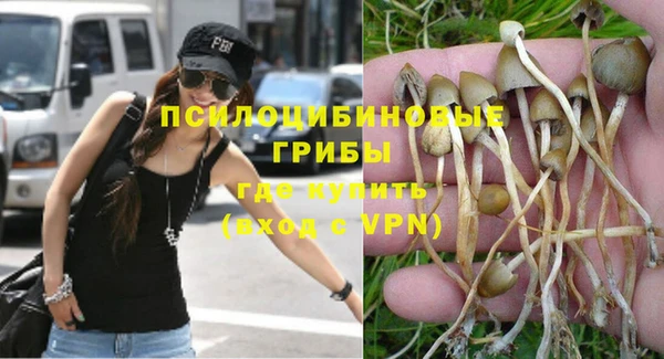 ешки Долгопрудный