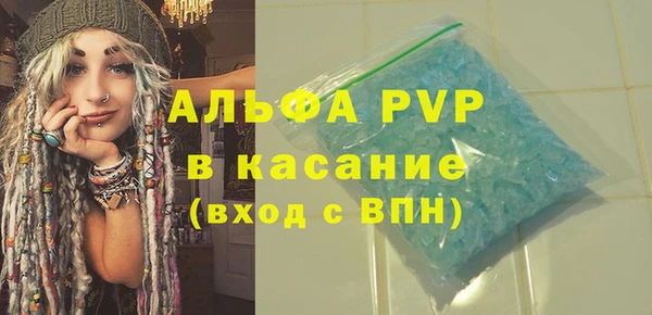 прущие грибы Новый Уренгой