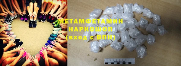 прущие грибы Новый Уренгой