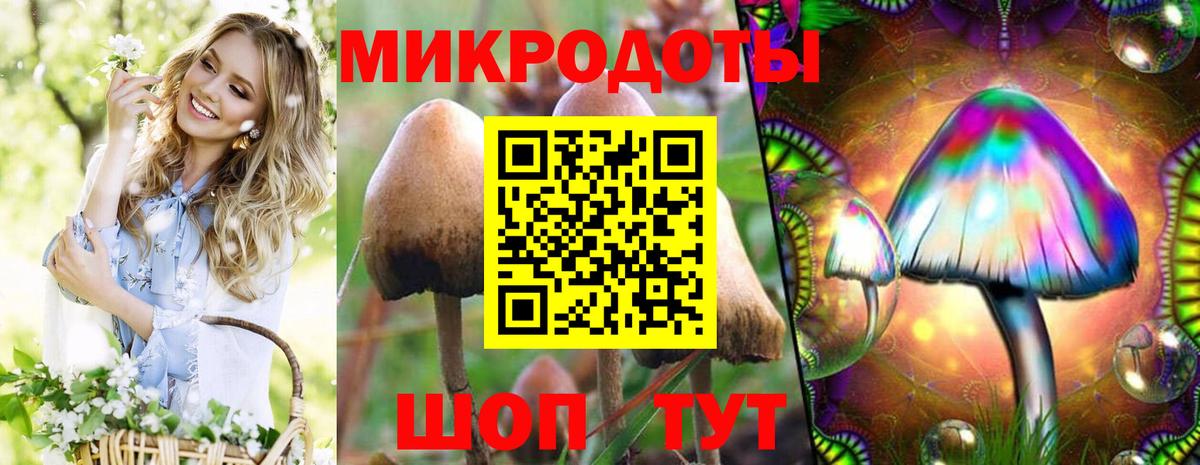 Галлюциногенные грибы Psilocybe  Псилоцибиновые грибы мухоморы  Заречный  Вход с VPN 