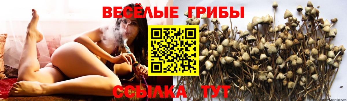 ГАШИШ  Гашиш  Марихуана  Заречный  Вход с VPN  МЕФ кристаллы 