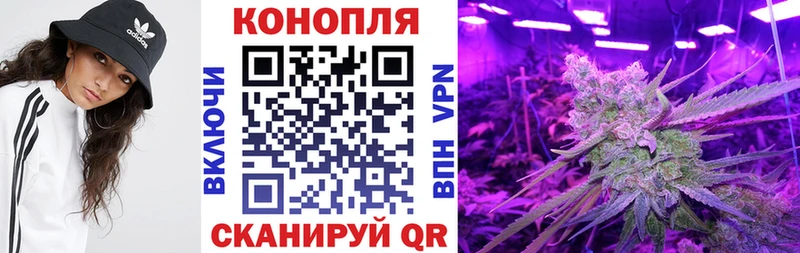 МАРИХУАНА сатива  Заречный 